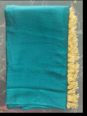 Fancy Designer Japan Silk Saree with Maggam Work Blouse Exquisite Elegance & Timeless Luxury