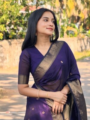Elegant Linen Silk Saree with Copper Border