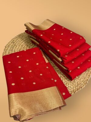 Exquisite Banarasi Katan Silk Saree
