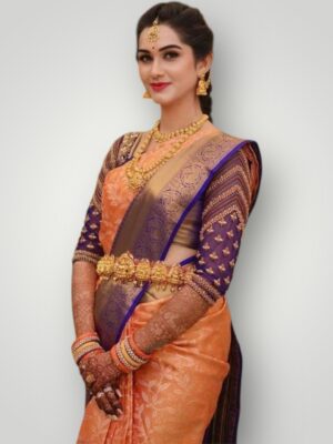 Elegant Semi Kanchivaram Silk Saree