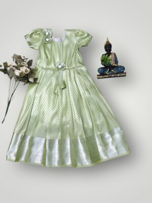 Elegant Floral Banarasi Tissue Gown with Silver Zari Work