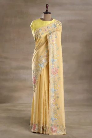 double cream tissue saree with multicolor embroidered border