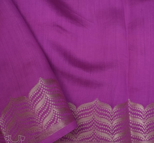 palatinate banarasi organza saree with zari border